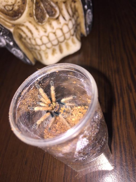 WhatsApp Image 2020-02-14 at 11.00.33 (1).jpeg