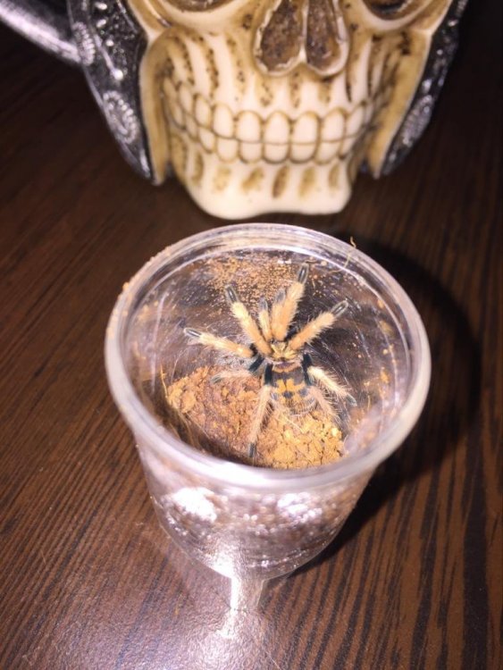 WhatsApp Image 2020-02-14 at 11.00.33.jpeg