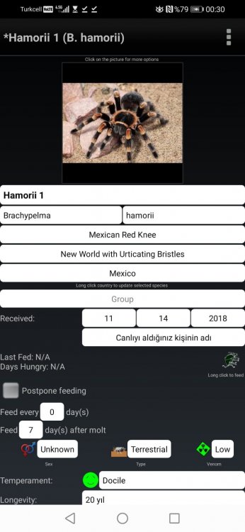 WhatsApp Image 2020-11-14 at 00.37.15 (6).jpeg