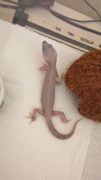 WhatsApp Image 2021-02-10 at 09.02.33.jpeg