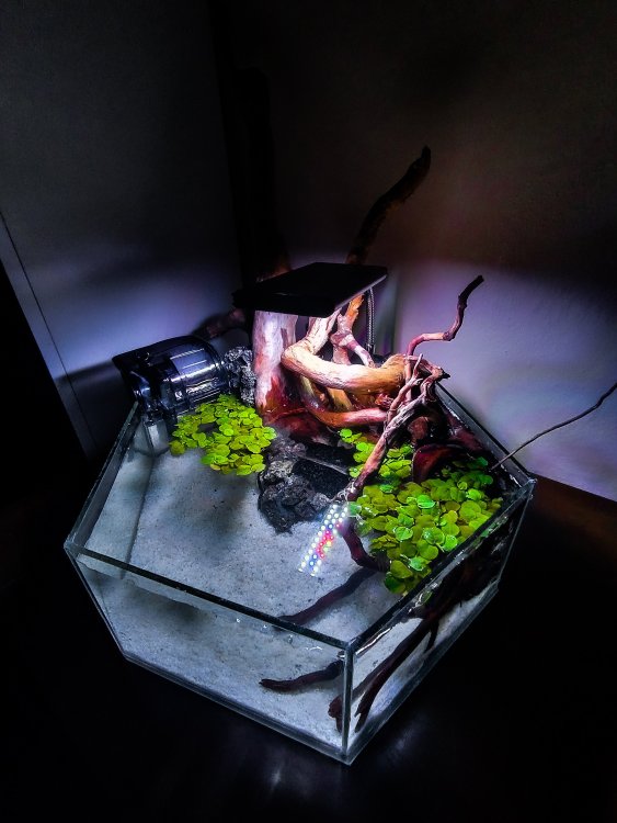 IMG_20210324_203920 (1).jpg