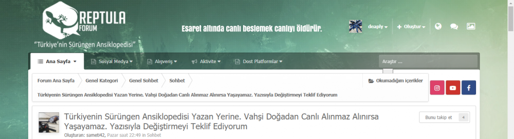 1641810766_EkranAlnts.thumb.PNG.121da34cac41b5ebae0307836aae7796.PNG